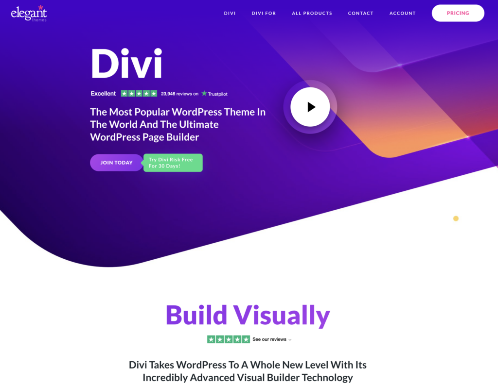 Divi_WordPress Themes for Personal Websites
